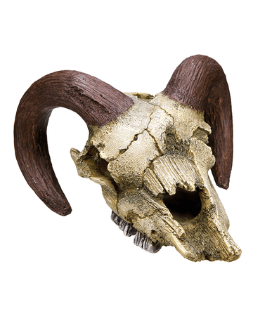 28252 NOBBY Aqua Ornaments "RAM SKULL" - - PetsOffice
