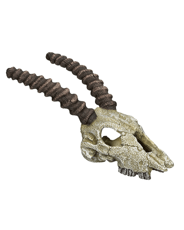 28371 NOBBY Aqua Ornaments "SCULL" - - PetsOffice
