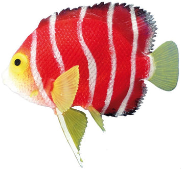 28468 NOBBY Fantasy Decor "SKALAR" L11 x H9 cm - - PetsOffice