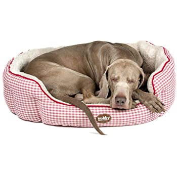 60815 NOBBY Comfort bed oval "XAVER" red l x w x h: 55 x 50 x 21 cm - - PetsOffice