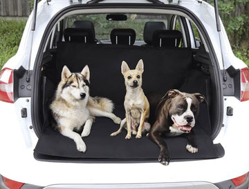 60902 NOBBY Car Boot protection w x d: 173 x 153 cm - - PetsOffice