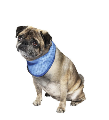 62224 NOBBY Pet Ice Bandana S: 18-30 cm - - PetsOffice