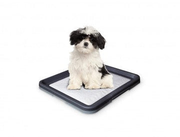 67151 NOBBY Doggy Trainer Including 1 Pad L - 62,5 x 48 x 3,8 cm - - PetsOffice