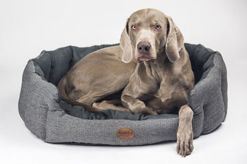 70756 NOBBY Comfort bed oval "JOSI" coffee brown l x w x h: 86 x 70 x 24 cm - - PetsOffice