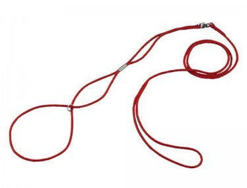 73260 NOBBY Show leash red l: 120 cm; w: 3 mm - - PetsOffice