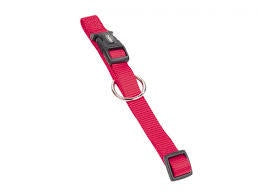 74703-01 NOBBY Collar "Classic" l: 40-55 cm; w: 20 mm - - PetsOffice