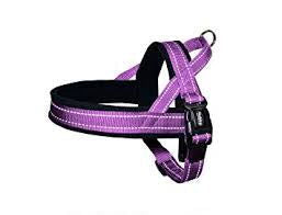 74842-38 NOBBY NORWEGIAN Harness purple L: L: 60-76 cm + 46 cm; W: 25 mm - - PetsOffice