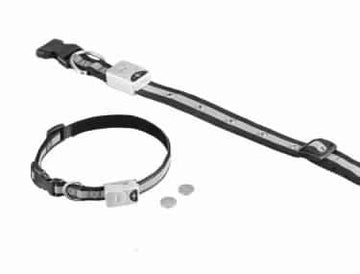 78211 NOBBY LED dog collar S; 15 mm; 30-40 cm - - PetsOffice