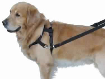 79270-05 NOBBY Top Walk - - PetsOffice