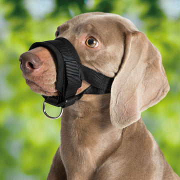 79293 NOBBY Nylon Muzzle Loop black Size XL; Neck Strap: 20-30 cm; Snout Strap: 23-34 cm - - PetsOffice