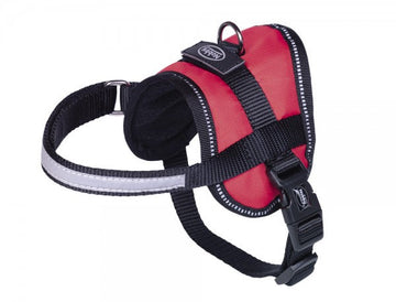 80579-01 NOBBY Harness "Seguro" Mini red waist: 31-40 cm; W: 15 mm - - PetsOffice