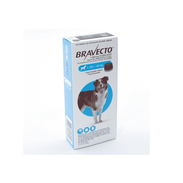 Bravecto for Ticks And Fleas 1000mg 20kg-40kg (1 Chew) - - PetsOffice