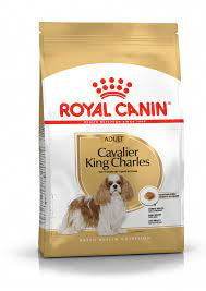 Paw & Joy Biggest Pet Supplies brand in Egypt | Royal Canin Cavalier Adult 3kg