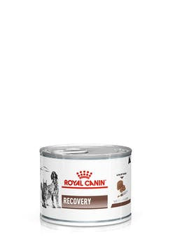 Royal Canin Recovery Dog 195g - - PetsOffice