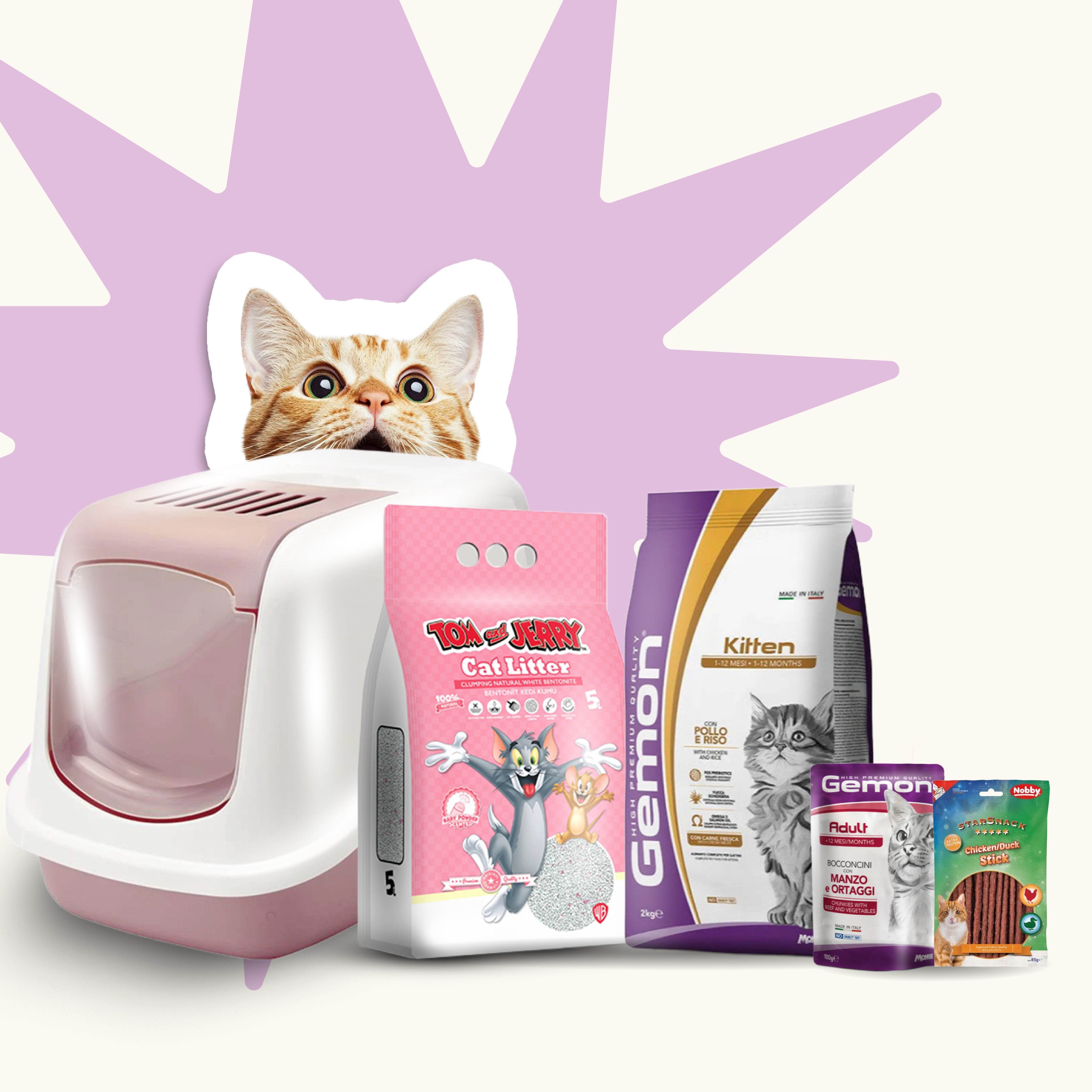 Kitten Starter Bundle (For First-Time Cat Owners) At Paw & Joy