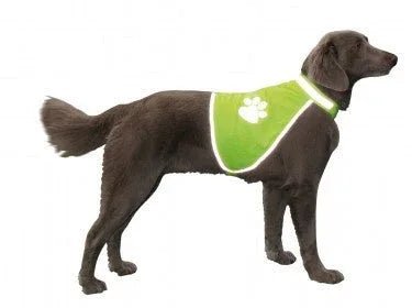 78316 NOBBY Safety West size L - Paw & Joy