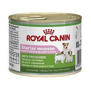 Royal Canin Starter Mousse 195g - Paw & Joy