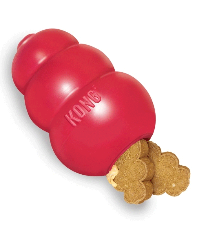 79551 NOBBY Classic Kong M - Paw & Joy