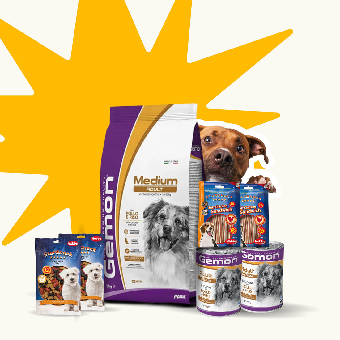Paw & Joy Biggest Pet Supplies brand in Egypt | Super Saver • Big Dog Essentials Bundle