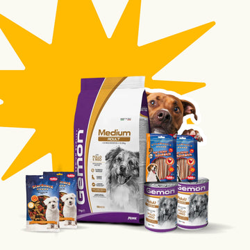 Paw & Joy Biggest Pet Supplies brand in Egypt | Super Saver • Big Dog Essentials Bundle