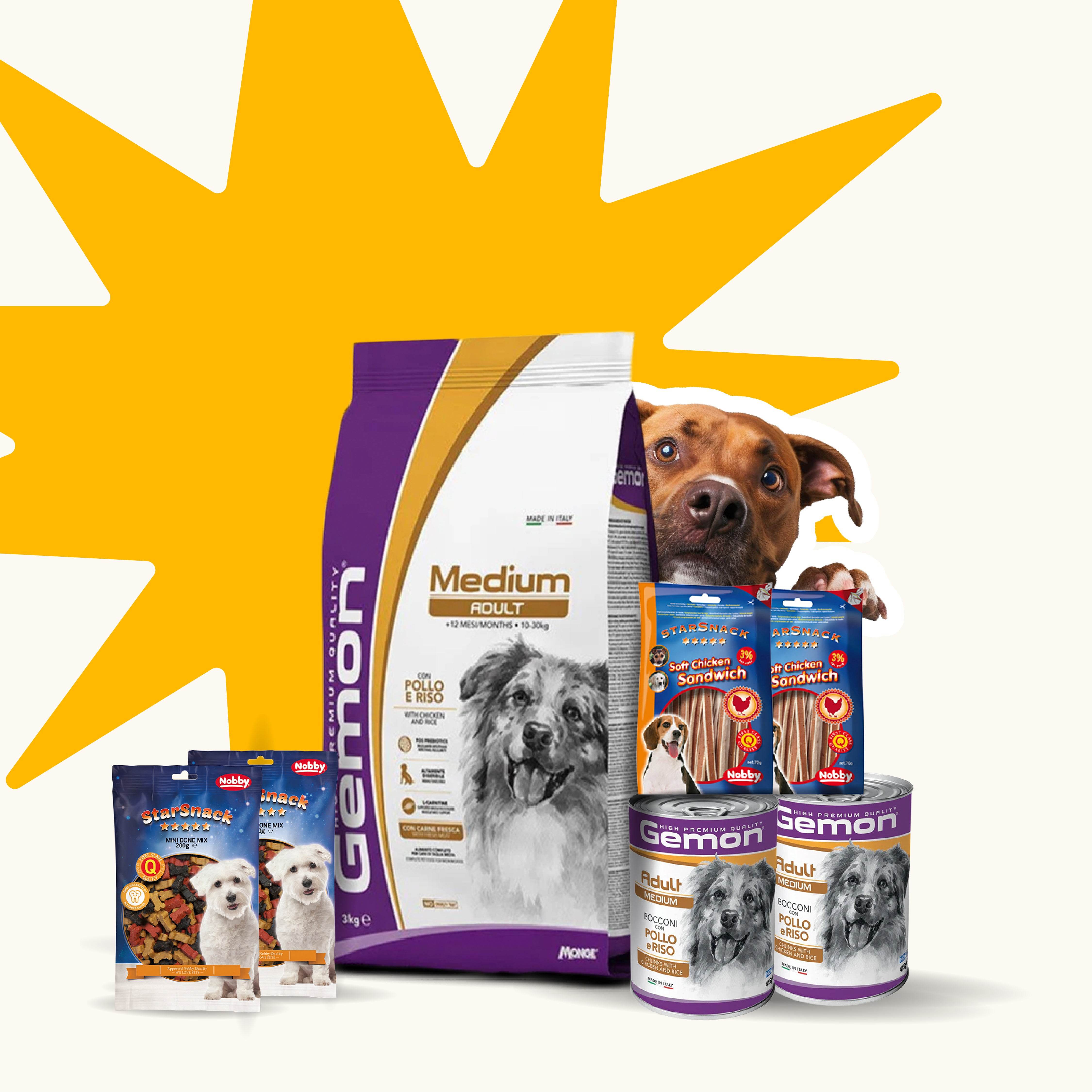 Paw & Joy Biggest Pet Supplies brand in Egypt | Super Saver • Big Dog Essentials Bundle