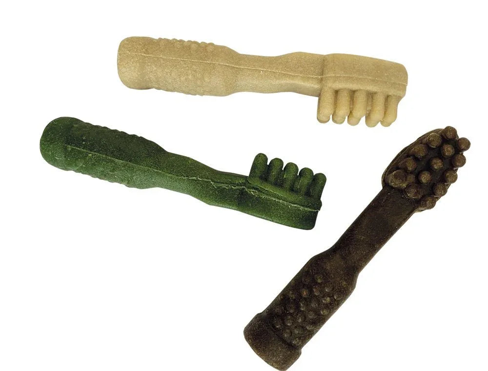 50484 NOBBY STARSNACK Dental Brush (1 Pc) - Paw & Joy