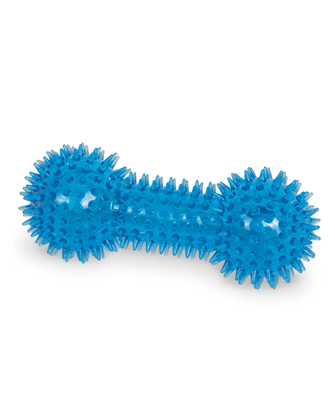 Paw & Joy Biggest Pet Supplies brand in Egypt | 60056 NOBBY TPR spiky dumbbell