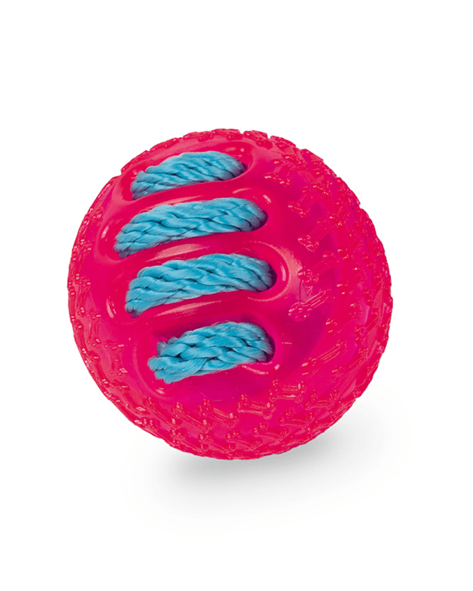 Paw & Joy Biggest Pet Supplies brand in Egypt | 60074 NOBBY TPR Ball with Nylon
