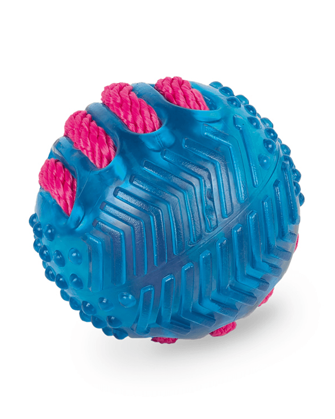 Paw & Joy Biggest Pet Supplies brand in Egypt | 60075 NOBBY TPR Ball with Nylon
