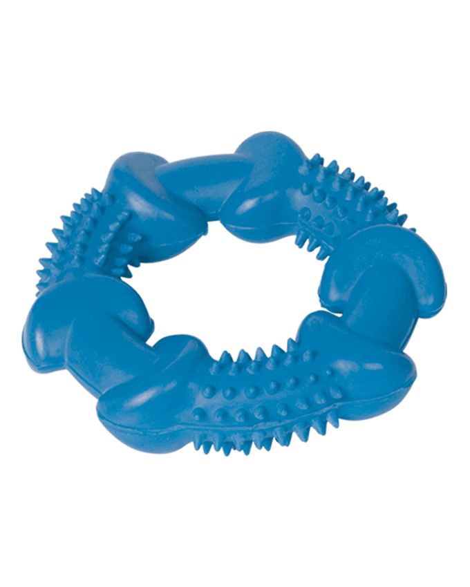 Paw & Joy Biggest Pet Supplies brand in Egypt | 60090 NOBBY Rubber Ring