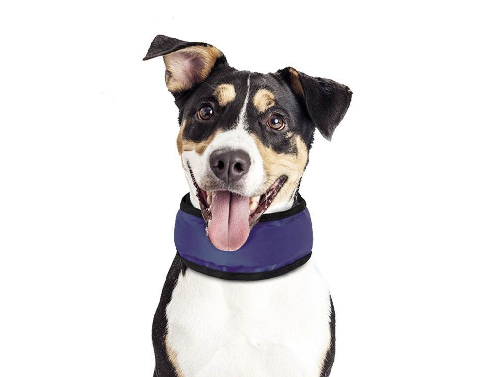 Paw & Joy Biggest Pet Supplies brand in Egypt | 62240 NOBBY Cooling Loop S: 15-25cm