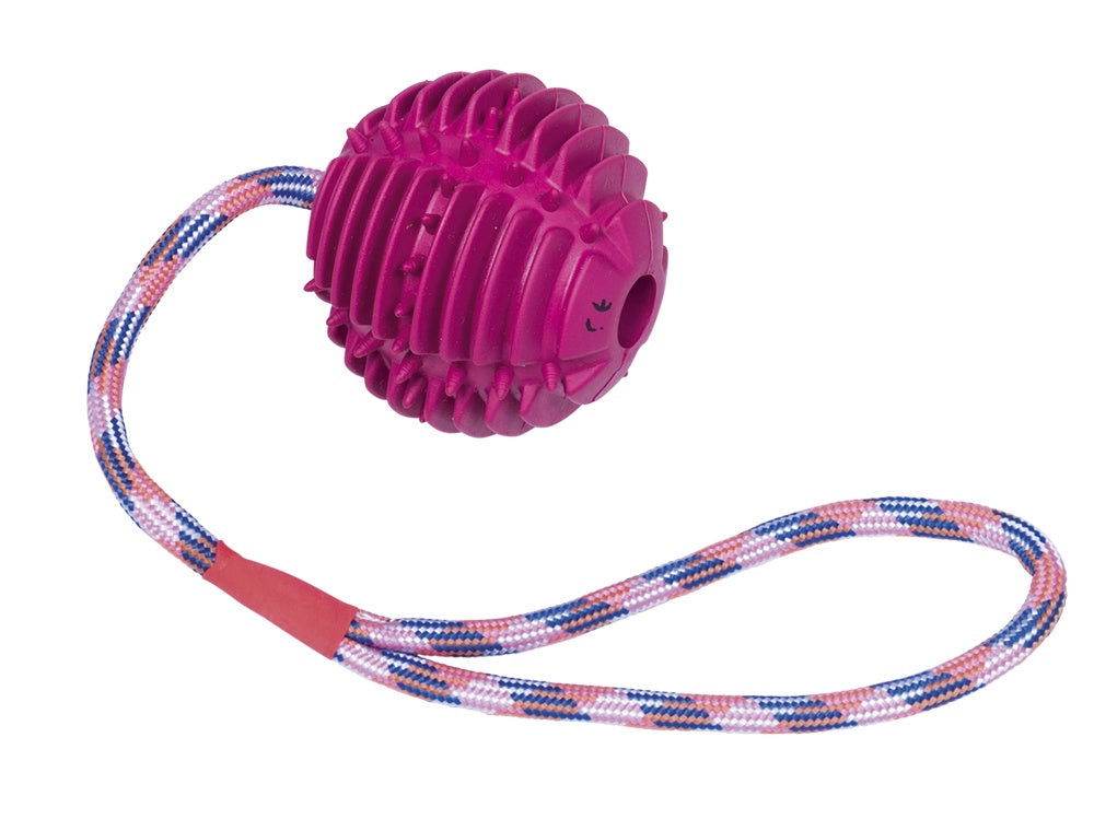 Paw & Joy Biggest Pet Supplies brand in Egypt | 62382 NOBBY Rubber ball with rope ball: 7,5 cm; rope: 30 cm