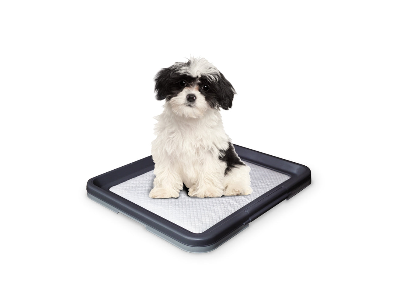 67151 NOBBY Doggy Trainer Including 1 Pad L - 62,5 x 48 x 3,8 cm