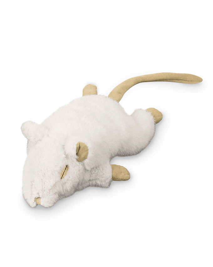 Paw & Joy Biggest Pet Supplies brand in Egypt | 67569 NOBBY Plush MOUSE