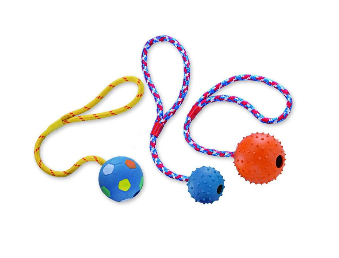 Paw & Joy Biggest Pet Supplies brand in Egypt | 69008 NOBBY Rubber ball with nops, bell and rope