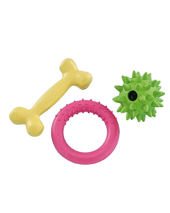 Paw & Joy Biggest Pet Supplies brand in Egypt | 69026 NOBBY Puppy set rubber toy