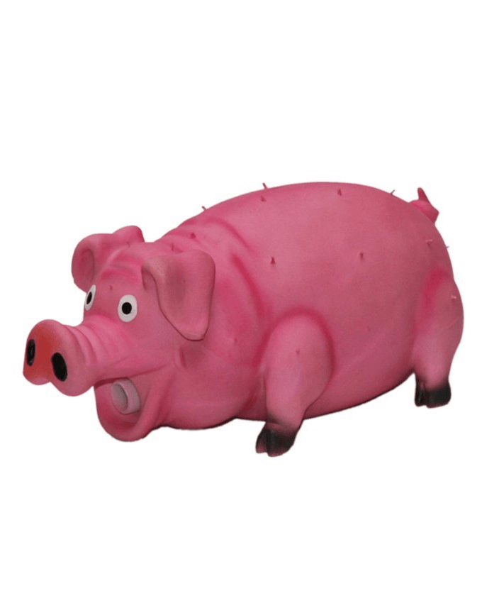 Paw & Joy Biggest Pet Supplies brand in Egypt | 69084 NOBBY Latex pig