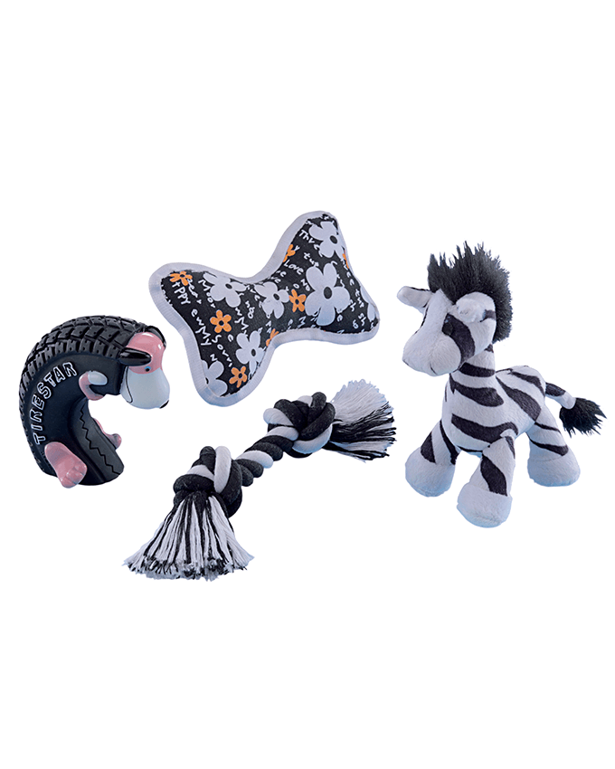 Paw & Joy Biggest Pet Supplies brand in Egypt | 69840 NOBBY Starter Set