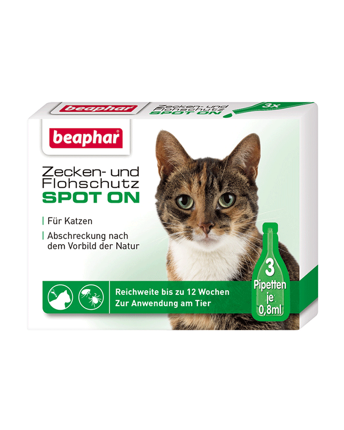 75435 NOBBY Spot-On For Cats - Paw & Joy