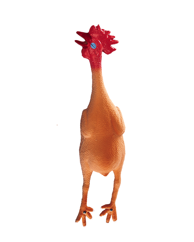 72345 NOBBY Latex chicken / 194 / 47 cm -  - PetsOffice