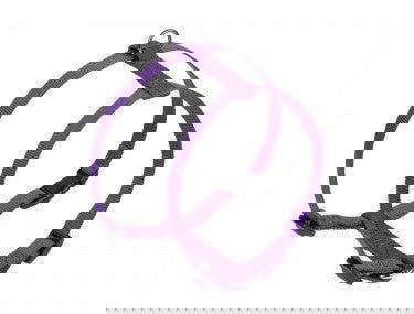73167-38 NOBBY Harness "Classic" purple chest: 50/70 cm; w: 20 mm -  - PetsOffice