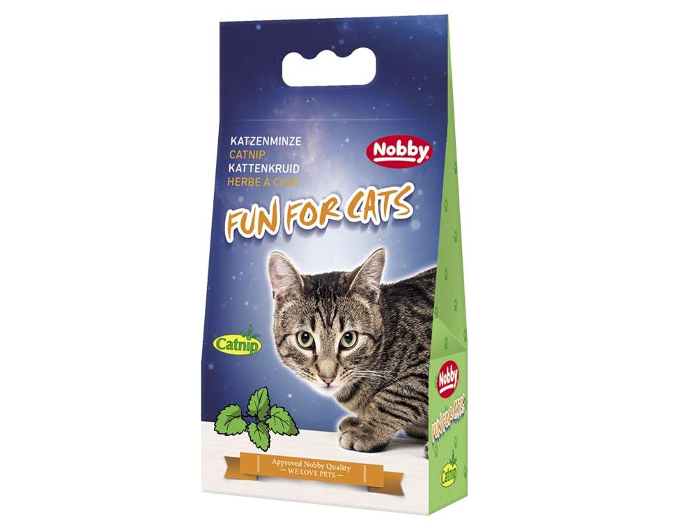 77501 NOBBY Catnip