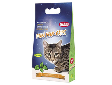 77501 NOBBY Catnip