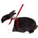 Paw & Joy Biggest Pet Supplies brand in Egypt | 78060-05 NOBBY Set nylon for rabbits