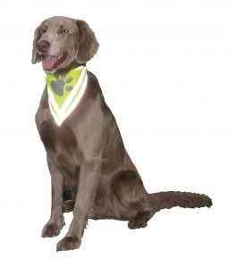 Paw & Joy Biggest Pet Supplies brand in Egypt | 78318 NOBBY Safety Bandana