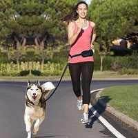 Paw & Joy Biggest Pet Supplies brand in Egypt | 78560 NOBBY Jogging leash