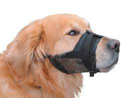 Paw & Joy Biggest Pet Supplies brand in Egypt | 79283 NOBBY Muzzle adjustable black size 2