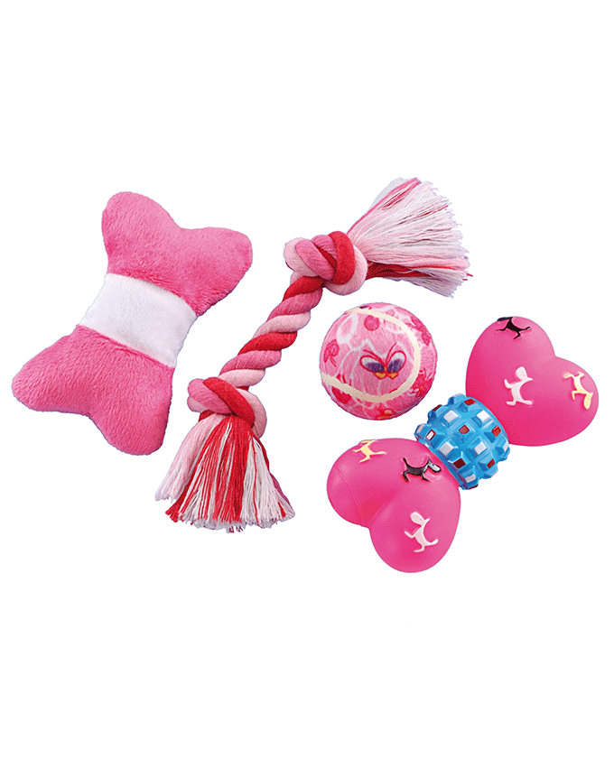 Paw & Joy Biggest Pet Supplies brand in Egypt | 79391 NOBBY Starter Set