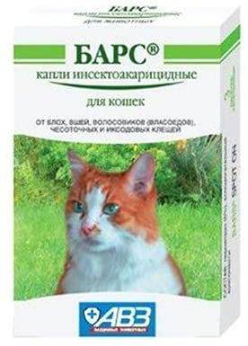 Paw & Joy Biggest Pet Supplies brand in Egypt | Bars for cats (1 Dose)