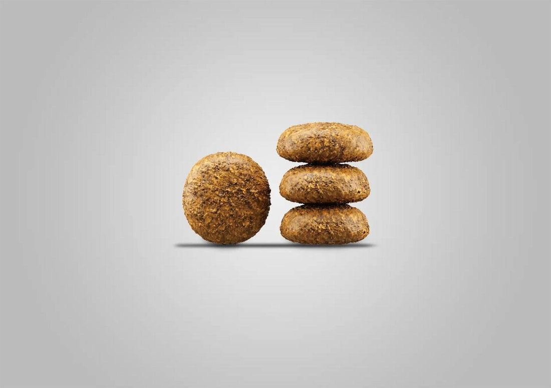 Paw & Joy Biggest Pet Supplies brand in Egypt | Josera MiniWell 900g